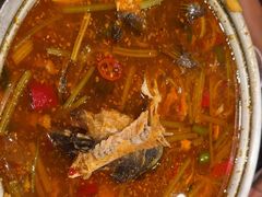 -宝记烧烤·碳锅羊肉·羊蝎子火锅·夜食社(文体路创始店)