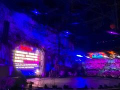 -广州长隆国际大马戏