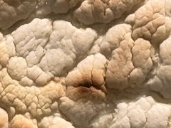 -清真马杰山牛肉汤馆