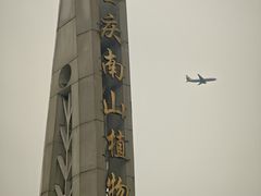 -南山植物园