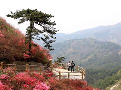 -木兰云雾山