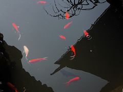 -胡雪岩故居