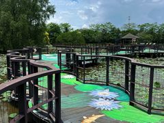 -大湾区中央湿地公园