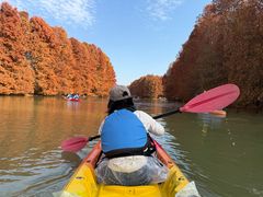 -上海海湾国家森林公园
