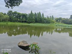 -洋湖国家湿地公园
