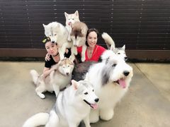 -TrueLove @ Neverland (Husky Cafe)