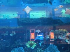 -迪拜水族馆及水下动物园