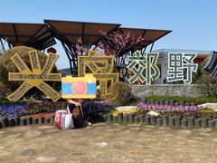 -上海长兴岛郊野公园