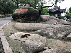 -灵岩山风景区