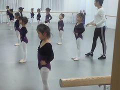 -西安小天鹅艺术团(金花路校区)