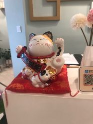 -至臻康妍健康管理中心