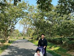 -雅达·阳羡溪山小镇中心