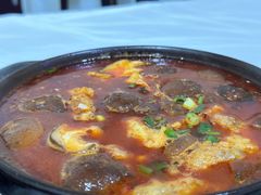 -阆中马记特色砂锅(新村路西段店)