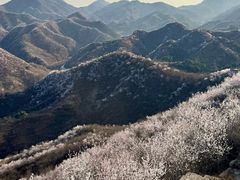 -龙泉峪长城