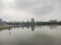 -莲花池公园