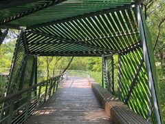 -西湖风景区-江洋畈生态公园