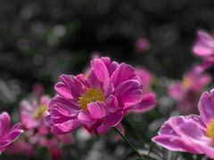 -狼山风景名胜区