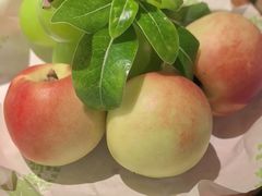 -季季山·云南野生菌火锅(上海首店)