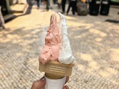 -柠檬车露(卖草地店)