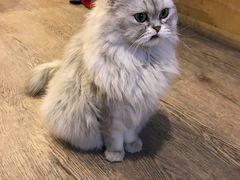 -小时光咖啡馆(开森度假森林店)