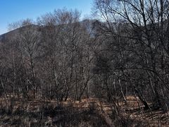 -灵山
