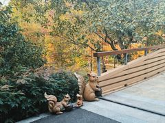 -云溪植物园