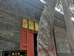 -关林