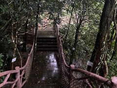 -海南热带雨林国家公园吊罗山景区