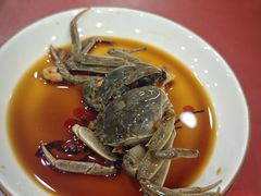 -红灯笼龙凤饭店(宁波老字号店)