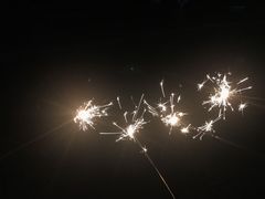 -广东惠东海龟国家级自然保护区