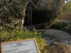 -凤翔首邑温泉度假村