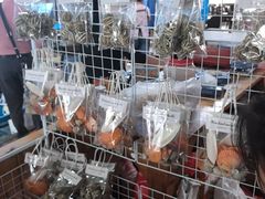 -蓝湾碧波·老字号·疍家非遗海上餐厅