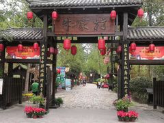 -合肥滨湖国家森林公园