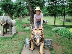 -南京银杏湖乐园