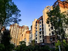 -邓婆婆手工冰粉铺(中港·燊海森林店)