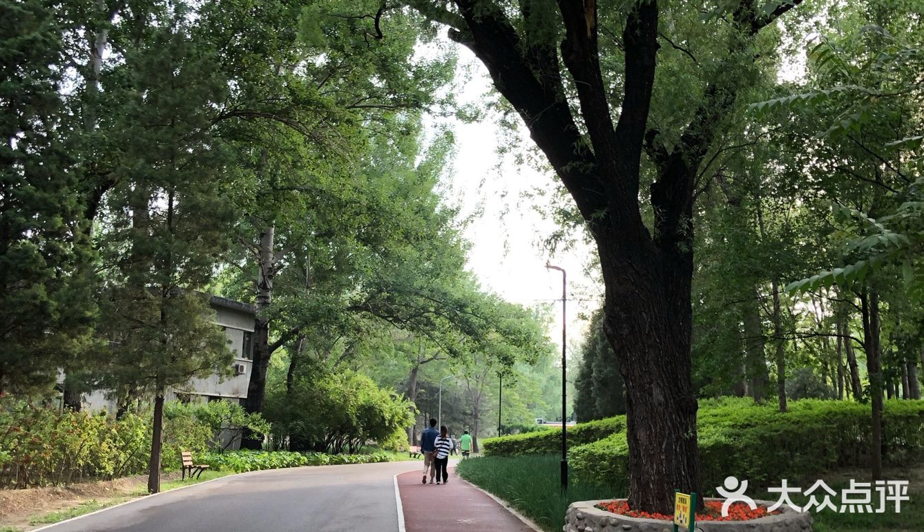 这是北京在豪迈之下的，另一面