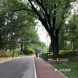 这是北京在豪迈之下的，另一面