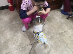 -美联众合动物医院·24h转诊中心