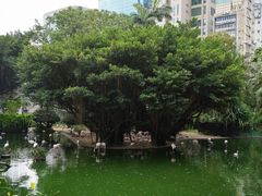 -九龙公园