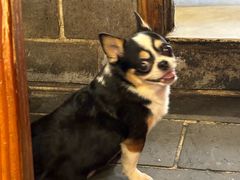 -张记牛肉面馆(天津路店)