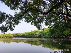 -西湖外事游船(花港观鱼码头)