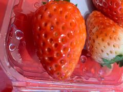 -井格重庆火锅(新世纪店)