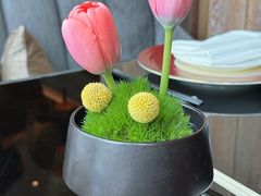 -夏宫中餐厅(静安香格里拉店)