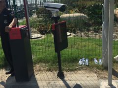 -上海浦江郊野公园-2号停车场