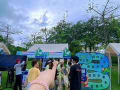 -宝安西湾红树林湿地公园