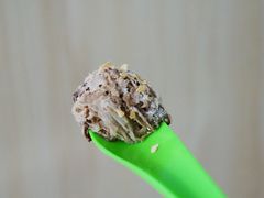 -MOMO冰品·生巧汤圆(红桥店)