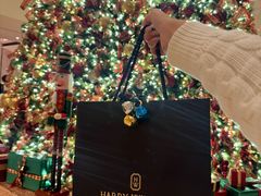 -Harry Winston 海瑞温斯顿