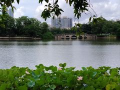 -东山湖公园