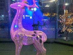 -新星KTV(友谊国际大厦店)