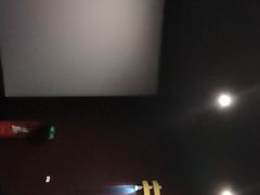 -幸福蓝海国际影城(西安立丰店)